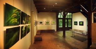 L'exposition "Le paradis vert" à la Maison de la réserve, Petite Camargue Alsacienne (1)